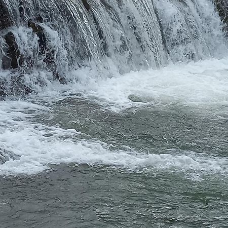 Domki Nad Stebnikiem Ustrzyki Dolne Exterior foto